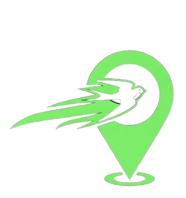 BirdieRace